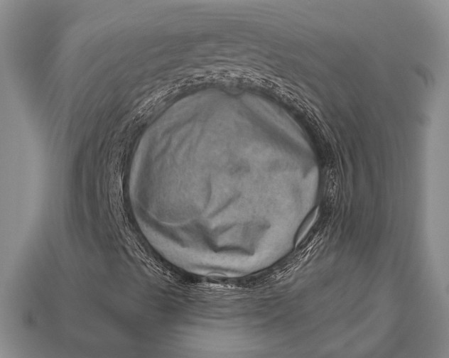 X0000112921489200909141301