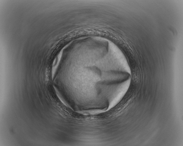 X0000112921490200909141301