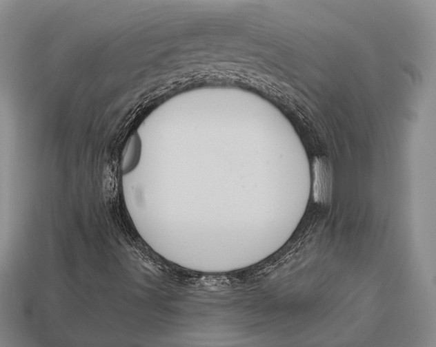 X0000112921491200909141301