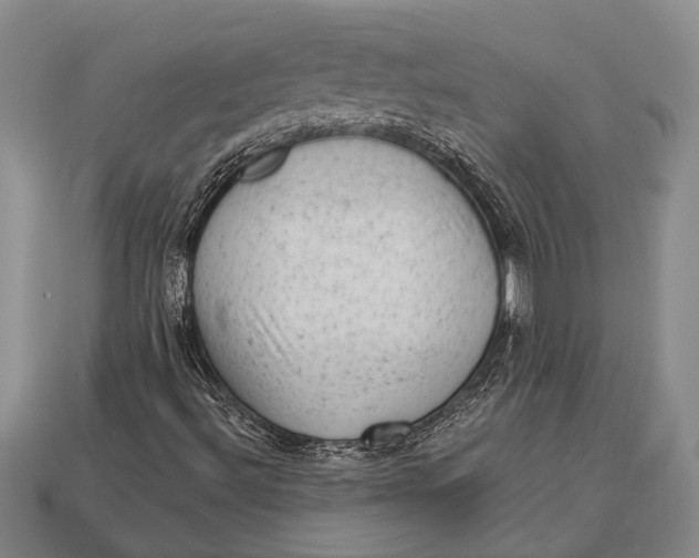 X0000112921492200909141301