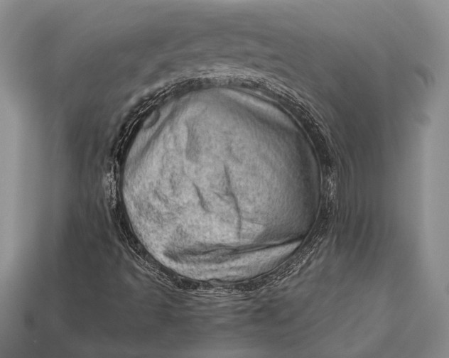 X0000112921493200909141301