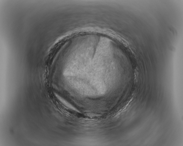 X0000112921494200909141301