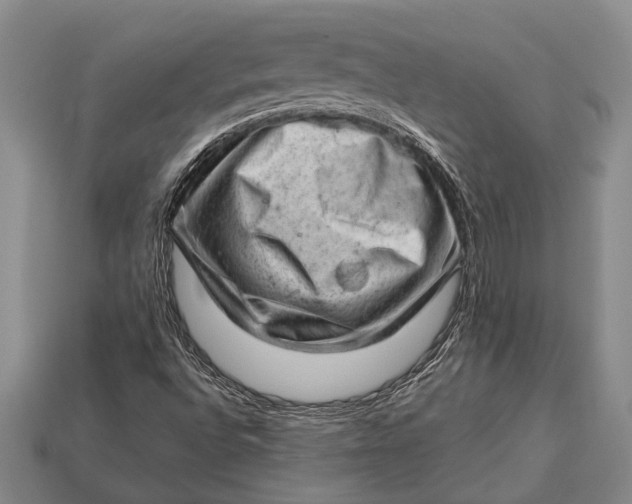 X0000112921496200909141301