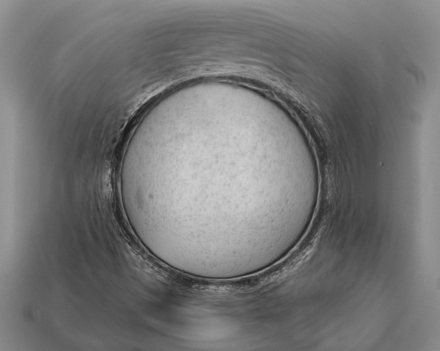 X0000112921497200909141301
