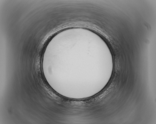 X0000112921498200909141301