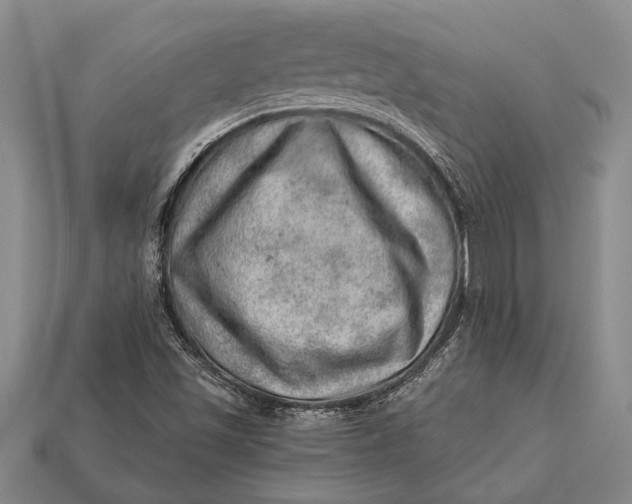 X0000112921501200909141301