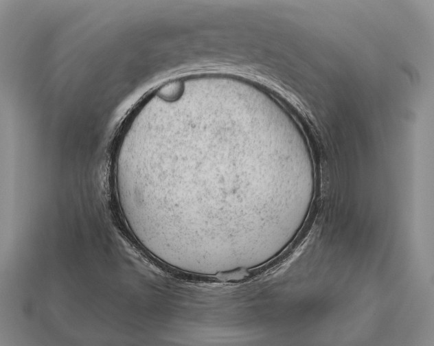 X0000112921502200909141301