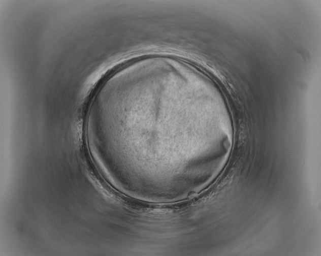 X0000112921503200909141301