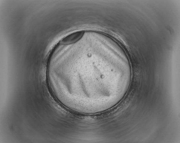 X0000112921504200909141302