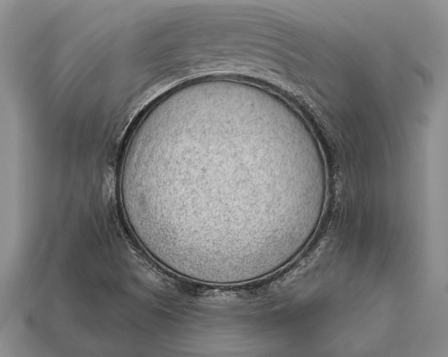 X0000112921505200909141302