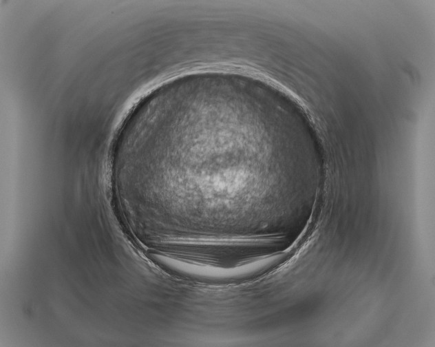X0000112921506200909141302