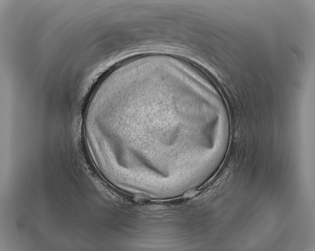 X0000112921507200909141302