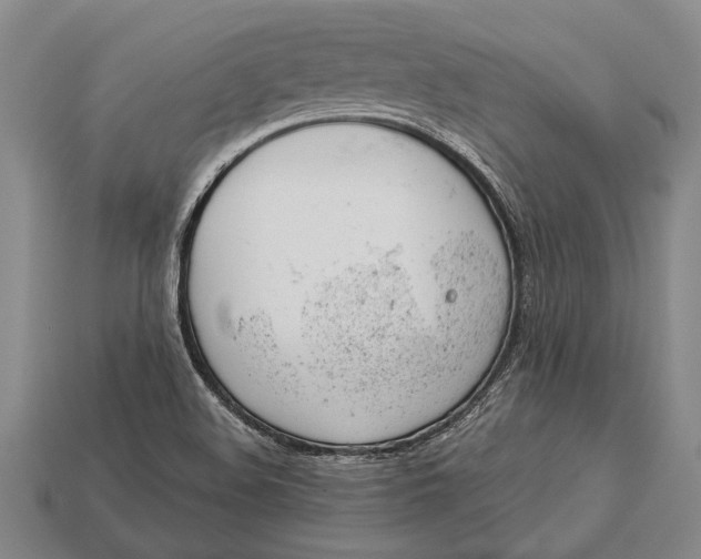 X0000112921508200909141302