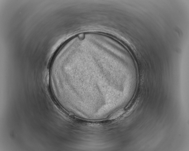 X0000112921509200909141302