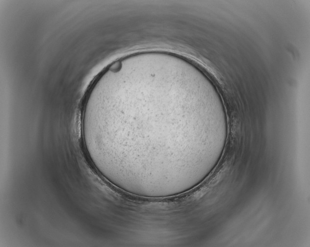 X0000112921510200909141302