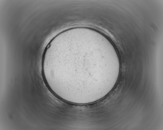 X0000112921512200909141302