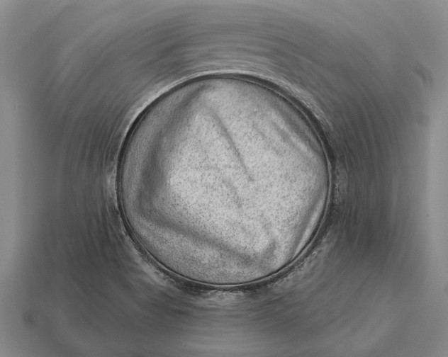 X0000112921513200909141302
