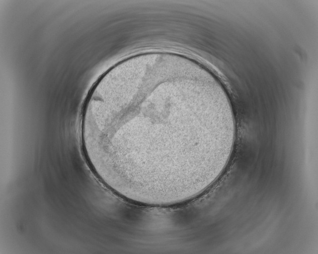 X0000112921514200909141302