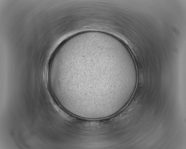 X0000112921515200909141302
