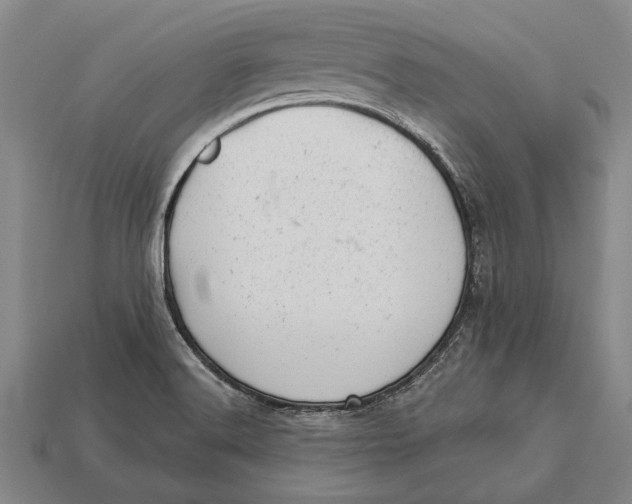 X0000112921516200909141302