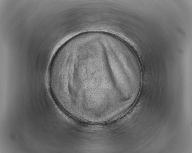 X0000112921517200909141302