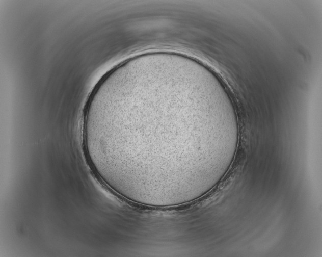 X0000112921519200909141302