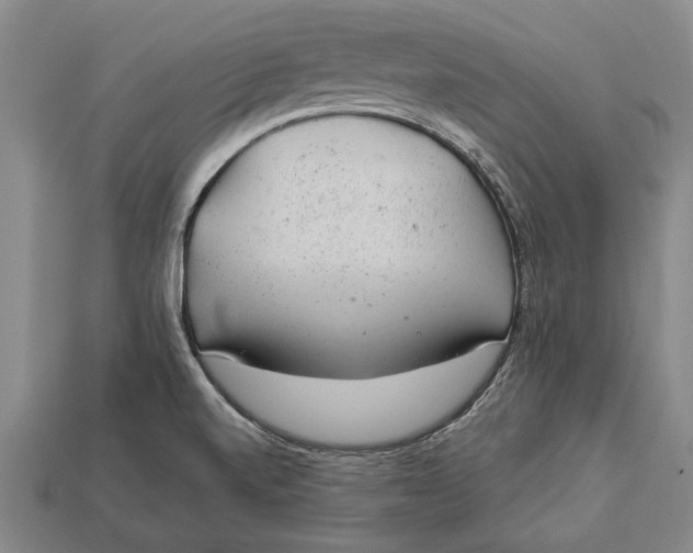 X0000112921520200909141302