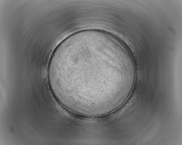 X0000112921521200909141302