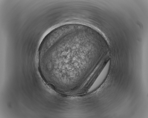 X0000112921522200909141302