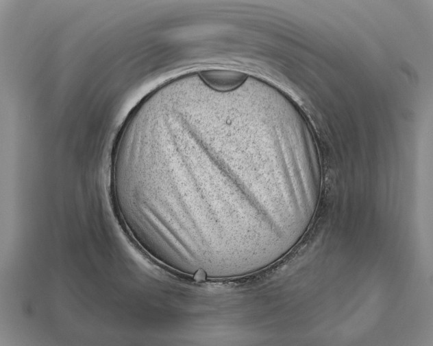 X0000112921523200909141302