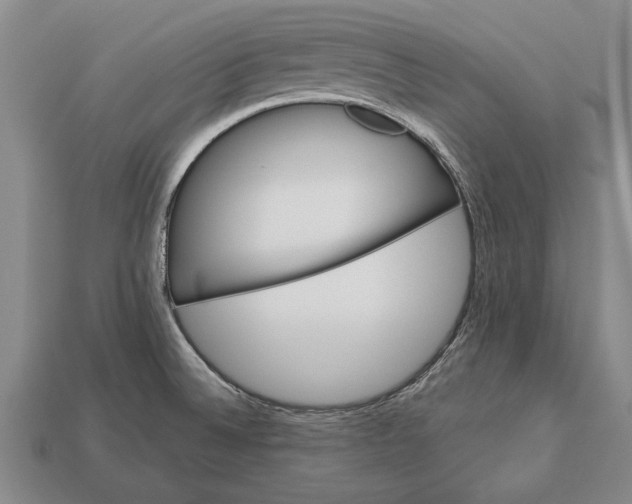 X0000112921524200909141302