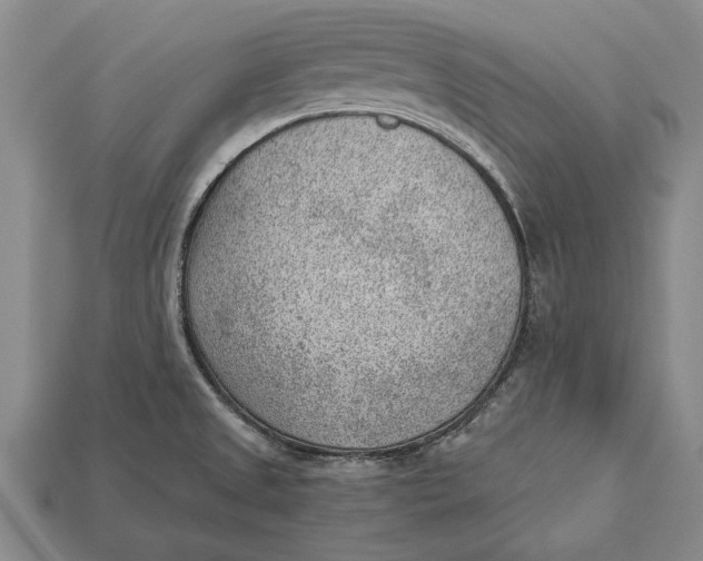 X0000112921525200909141302