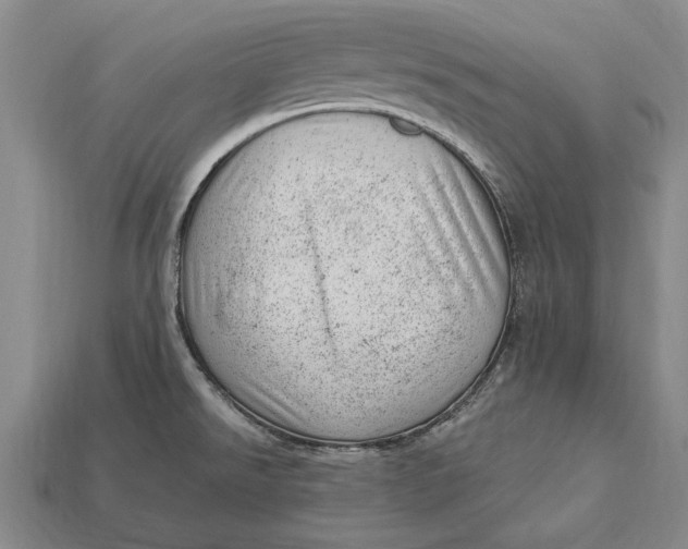 X0000112921526200909141302