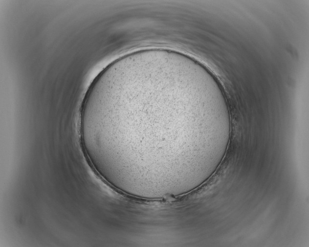 X0000112921527200909141302