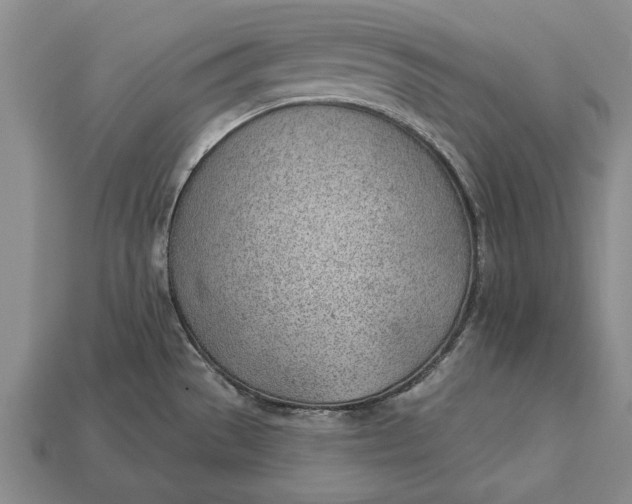 X0000112921529200909141302