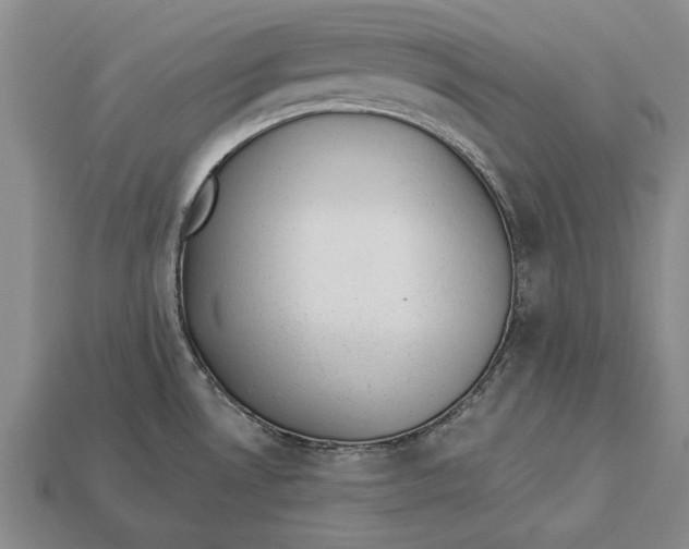 X0000112921530200909141302