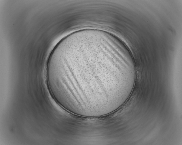 X0000112921531200909141302