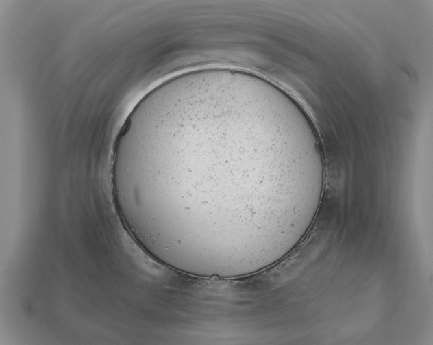 X0000112921532200909141302
