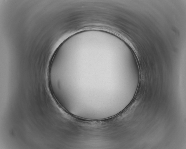 X0000112921533200909141302