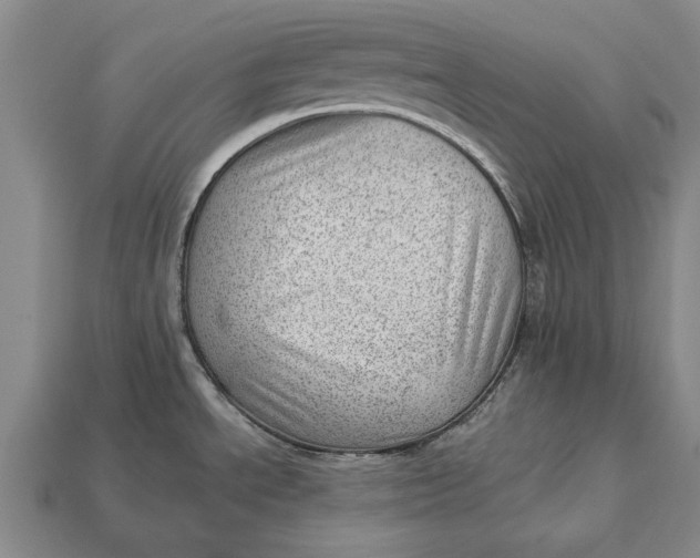X0000112921534200909141302