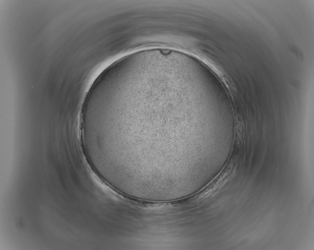 X0000112921535200909141302