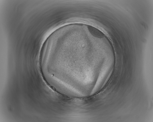 X0000112921536200909141302