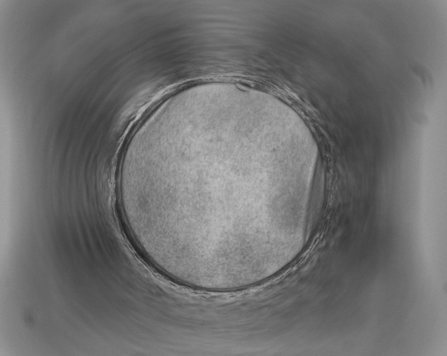 X0000112920002200909211103