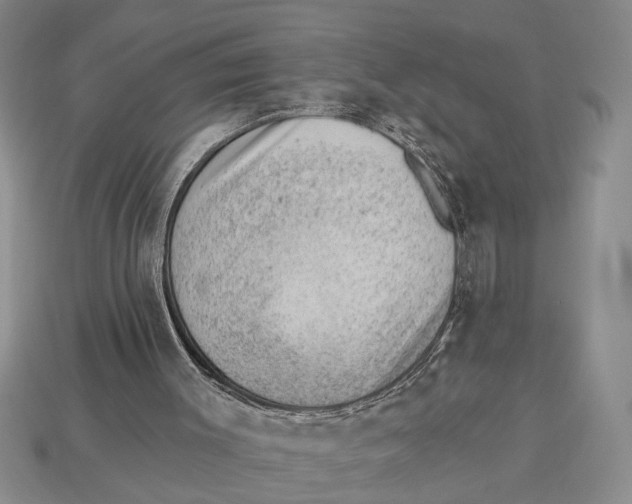 X0000112920003200909211103