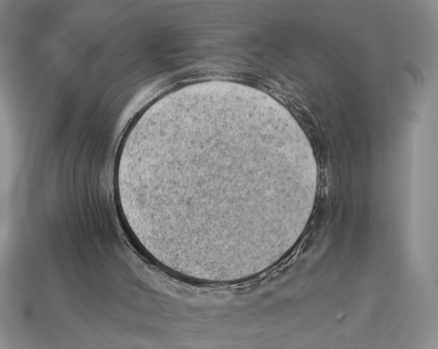 X0000112920004200909211103