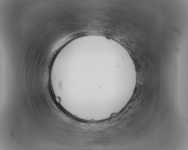 X0000112920005200909211103