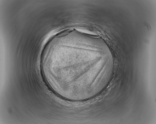 X0000112920006200909211103