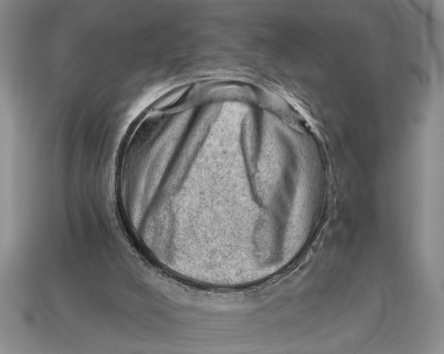 X0000112920008200909211103