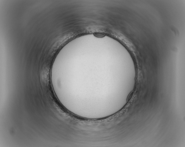 X0000112920009200909211103