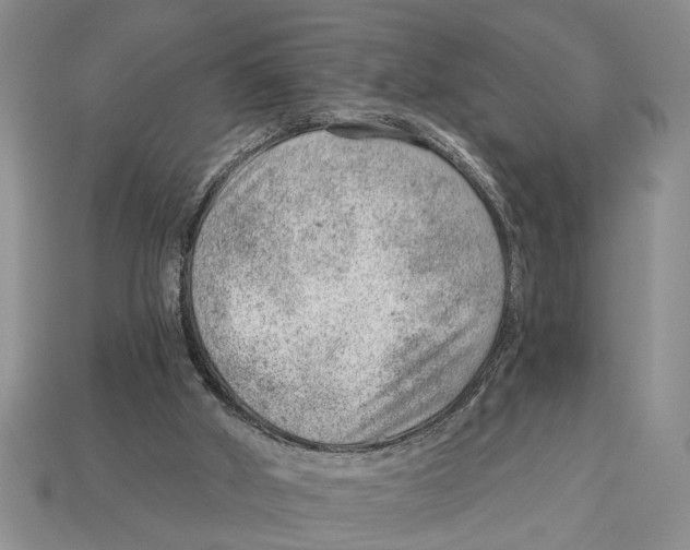 X0000112920010200909211103